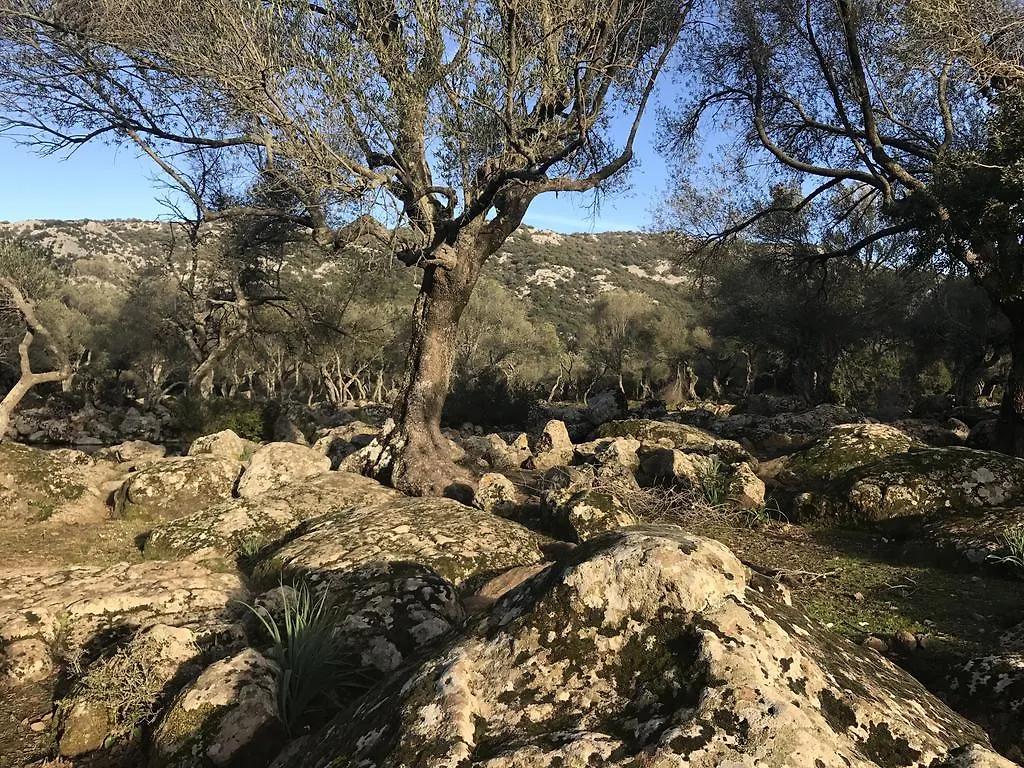 סנטה מריה נברזה B&B Elianto 0*, סנטה מריה נברזה איטליה